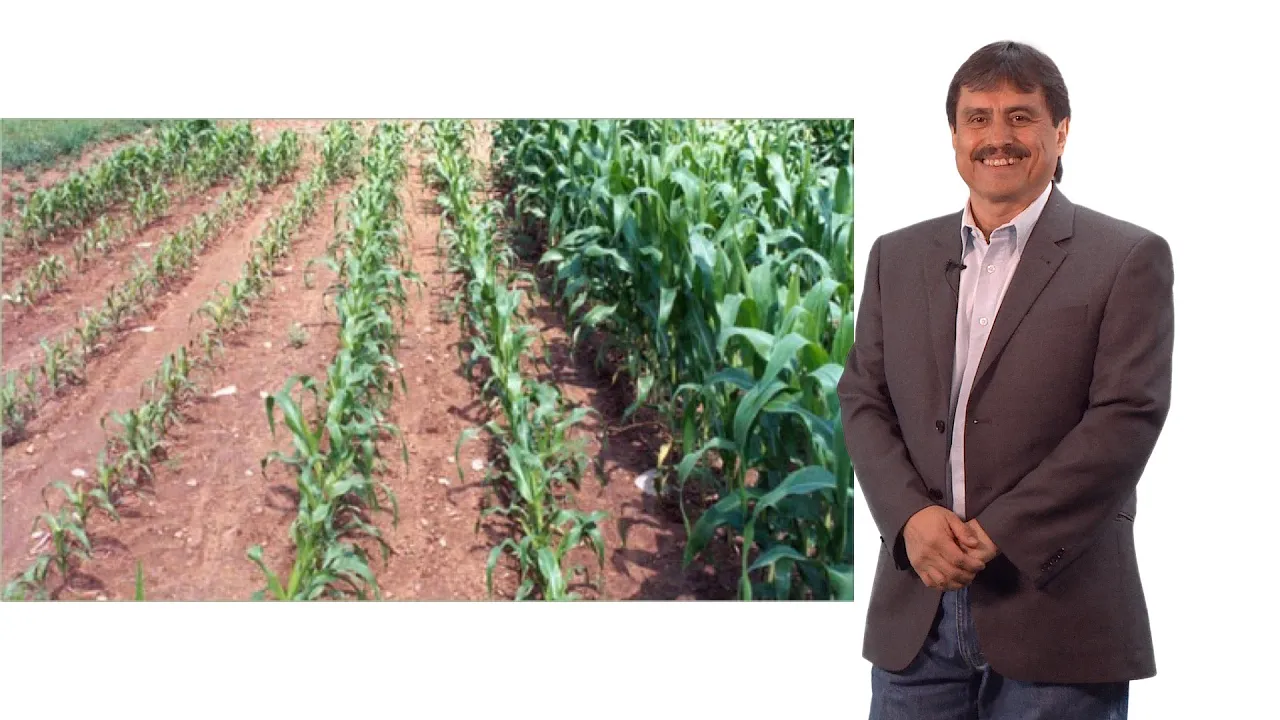 Luis Herrera-Estrella (Langebio) Part 1: Plant nutrition and sustainable agriculture