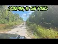 STANDING IN THE PINES