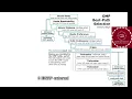 Cisco SD-WAN OMP Best-Path Algorithm Explained Network Engineers Must Know part 2