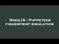 NodeJS Puppeteer fingerprint simulation