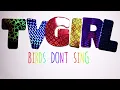 TV Girl- Birds Don't Sing (Lyrical Music Video)
