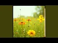 Download Lagu The Sun Meets