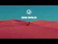 Big Wild - No Words - Big Wild