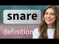 Snare definition of SNARE
