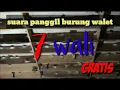 Download Lagu INI KALIAN TUNGGU// SP.7 WALI// SUARA PANGGIL WALET BIRAHI/KOLONI//GRATISS!! cek di deskripsi.