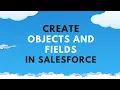 How to create Custom Objects and Fields in Salesforce