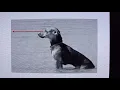 Visual Elements in Art Line Shape and Form Art Appreciation Part One