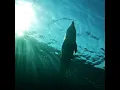 loops