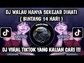 DJ BINTANG 14 HARI | WALAU HANYA SEKEJAB DIHATI MENGAPA BY PI7U VIRAL TIKTOK 2025 YANG KALIAN CARI !