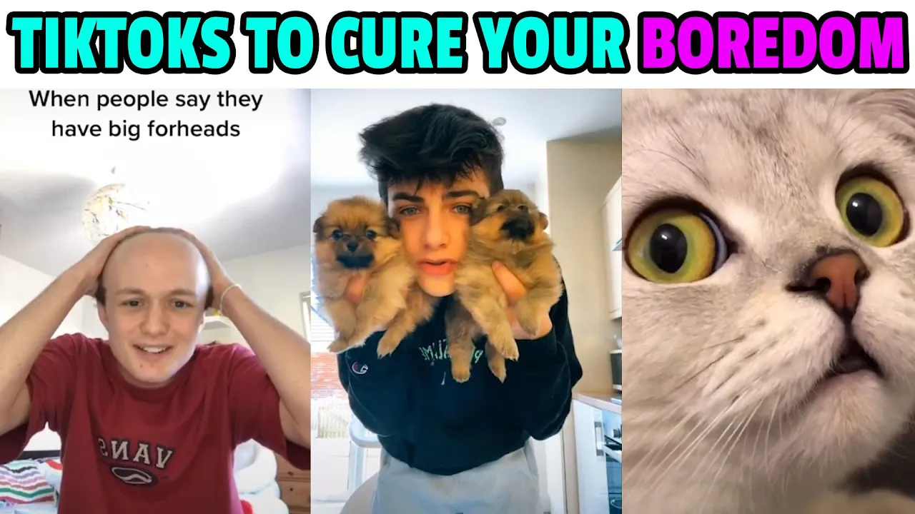 TikToks to cure your boredom