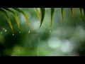 Download Lagu Soothing Piano \u0026 Rain Sounds | Deep Sleep and Emotional Healing Music