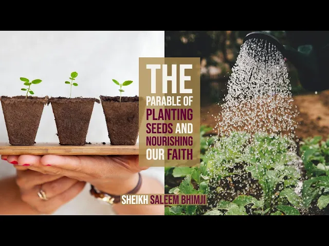 ⁣The Parable of Planting Seeds and Nourishing Our Faith - Sheikh Saleem Bhimji