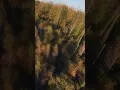 Download Lagu Autumn Vibes with the DJI AVATA #djiglobal #avata