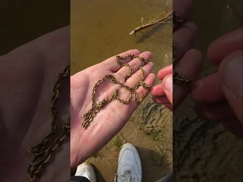 It's can find anything I want, even GOLD! 🤯