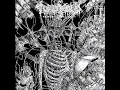 Intro - They Grow Inside