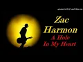 Zac Harmon - A Hole In My Heart (Kostas A~171)