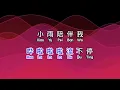 王恰恰 《 三月裡的小雨 》 san yue li de xiao yu DJ