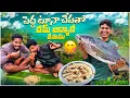 Lagu పెద్ద టూనాచేపతో ధమ్ బిర్యానీ చేసాము🐟🤤 || టేస్ట్ మాత్రం కథక్కన వచ్చింది😍
