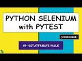 Selenium Python Hindi Tutorial - Get Attribute Value