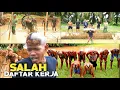 Download Lagu SALAH DAFTAR KERJA | Exstrim Lucu The Series | Funny Videos 2022 | KEMEKEL TV.