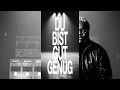 Kitschkrieg, Blumengarten & Shirin David - Gut Genug (Afro House Remix Lavito)