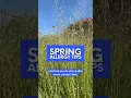 How to Handle Spring Allergies