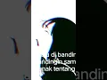 Download Lagu fakta anak pertama