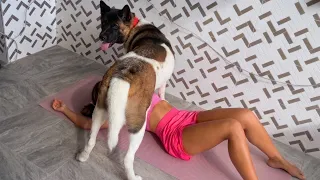 POV: When Your Dog Becomes Your Personal Trainer ππΆ