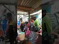 Download Lagu Bupati Lampung  Barat