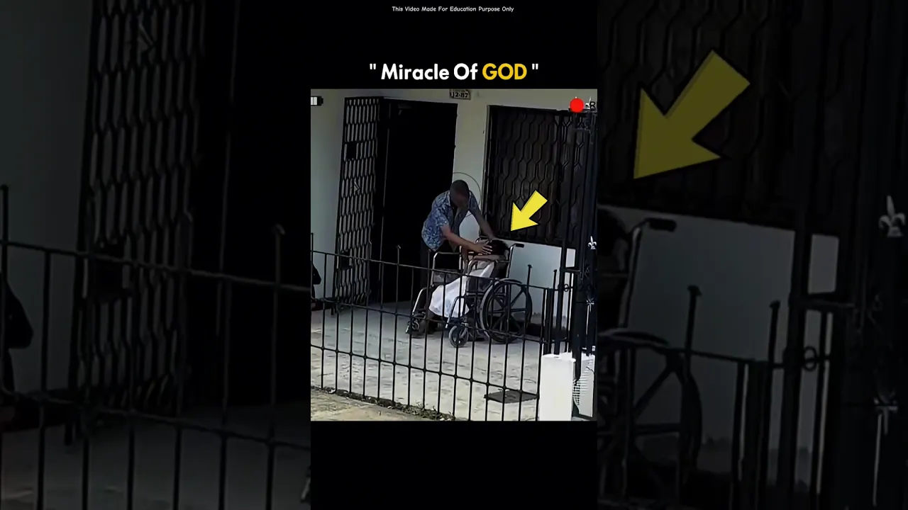The Miracle Of GOD !