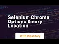 selenium chrome options binary location