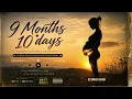 9 Months 10 Days Pregnancy Journey My Real Labor Delivery Story