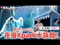 NT 4999 Xpark baby Ricky Nina