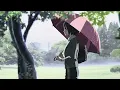 Anri - Last Summer Whisper「AMV / CITY POP」The Garden of Words 🍀 4K