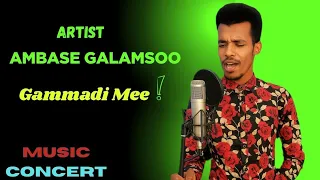Art Ambase Galamsoo Gammadi Mee Official Music Video 2025 Sirba Afaan Oromoo Haaraa 