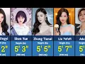 Chinese Actresses Height Comparison