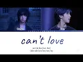 can't be blue "can't love" (feat. HAN straykids) - lyrics
