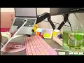 9 Hour Pomodoro Timer with Rain Focus Cycles Long Breaks Study With Me No Talking