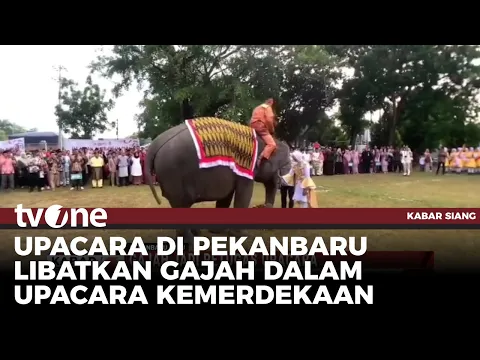 Sepasang Gajah Dipandu Pawangnya Jadi Petugas Upacara