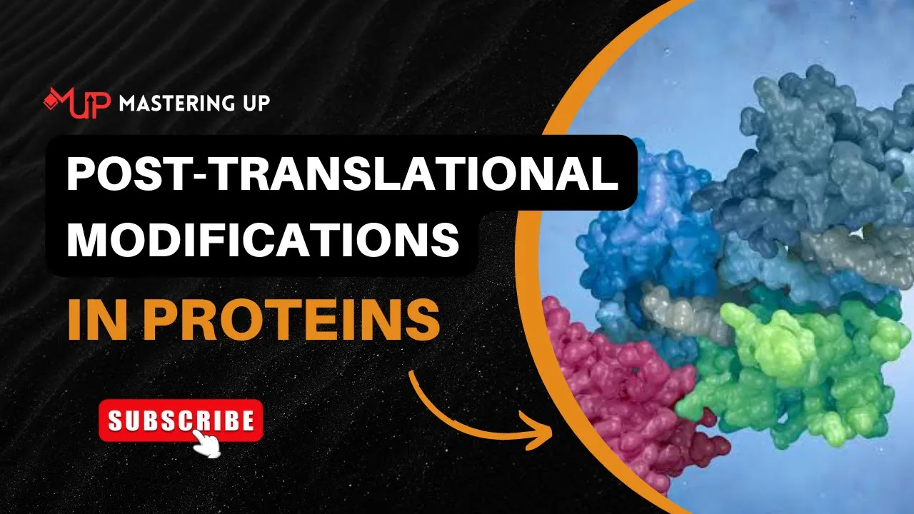 Post-Translational Modifications in Proteins Explained | #39