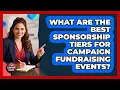 What Are The Best Sponsorship Tiers For Campaign Fundraising Events - Your Campaign Coach