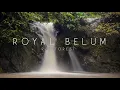 Download Lagu 4K | Royal Belum Rainforest