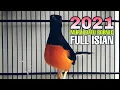 Download Lagu MURAI BATU BORNEO FULL ISIAN 2021