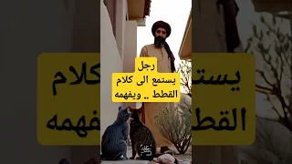 قصة سيدنا سليمان و الرجل الذي تعلم لغة القطط حكايات مسلم حكايات 