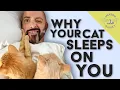 Why Does My Cat Sleep on Me Google Questions Answered