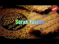 Download Lagu Beautiful Quran Recitation Surah Yasin 33 times - by sheikh Abdul Wadood Haneef (sihr, evil,  cure)