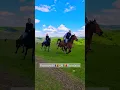 Download Lagu @PromovariCaiRomania #cai #cal #echitație #stallion #horse #horseworld #horsegirl #caballo
