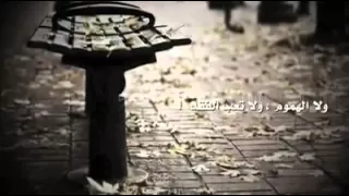 الدنيا لا تساوي جناح بعوضة  الدنيا لا تساوي جناح بعوضة