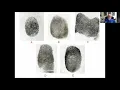 Fingerprint Comparison - Part 1