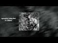 OFFL1NX - UPGRADE (slowed + reverb)